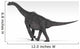 Brachiosaurus Dinosaur White Wall Decal Design 4