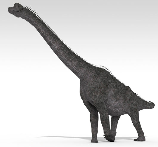 Brachiosaurus Dinosaur White Wall Decal Design 3