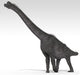 Brachiosaurus Dinosaur White Wall Decal Design 3