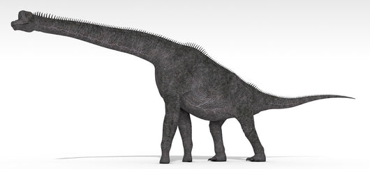 Brachiosaurus Dinosaur White Wall Decal Design 2
