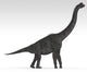 Brachiosaurus Dinosaur White Wall Decal Design 1