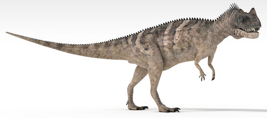 Ceratosaurus Dinosaur White Wall Decal Design 4