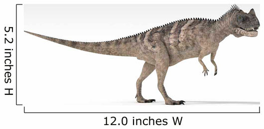 Ceratosaurus Dinosaur White Wall Decal Design 4
