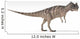 Ceratosaurus Dinosaur White Wall Decal Design 4