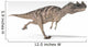 Ceratosaurus Dinosaur White Wall Decal Design 3
