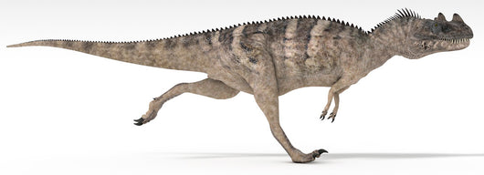 Ceratosaurus Dinosaur White Wall Decal Design 2