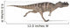 Ceratosaurus Dinosaur White Wall Decal Design 2