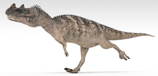 Ceratosaurus Dinosaur White Wall Decal Design 1