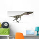 Coelophysis Dinosaur White Wall Decal Design 4