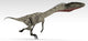Coelophysis Dinosaur White Wall Decal Design 4
