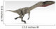 Coelophysis Dinosaur White Wall Decal Design 4