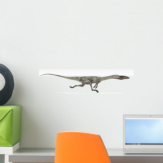 Coelophysis Dinosaur White Wall Decal Design 3
