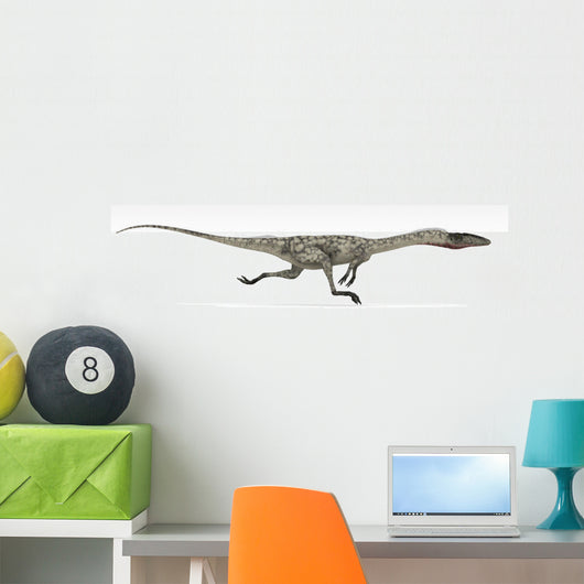 Coelophysis Dinosaur White Wall Decal Design 3