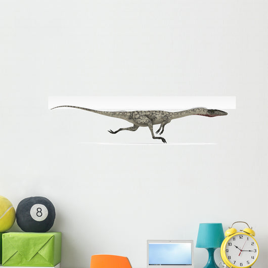 Coelophysis Dinosaur White Wall Decal Design 3