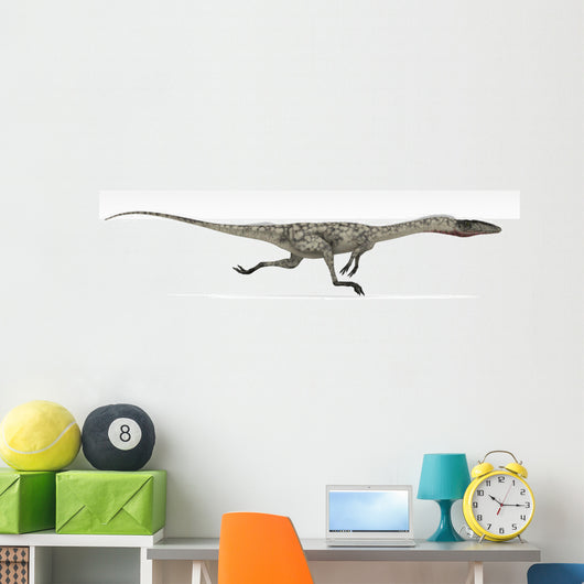 Coelophysis Dinosaur White Wall Decal Design 3