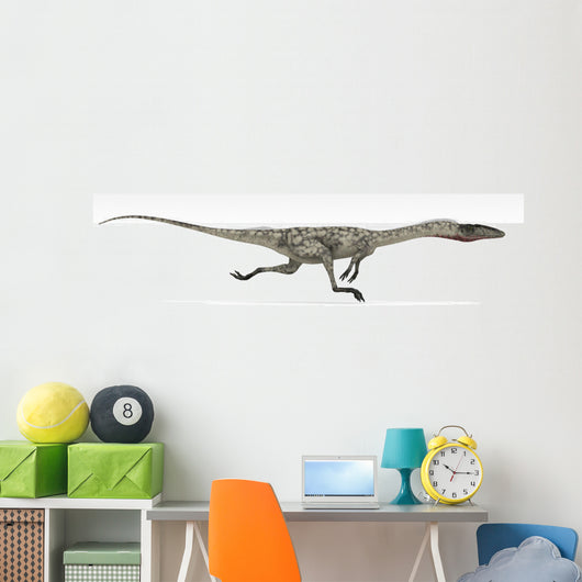 Coelophysis Dinosaur White Wall Decal Design 3