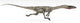 Coelophysis Dinosaur White Wall Decal Design 3