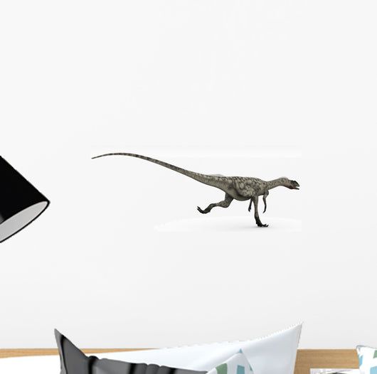 Coelophysis Dinosaur White Wall Decal Design 2