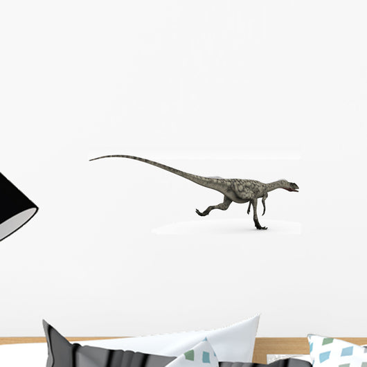 Coelophysis Dinosaur White Wall Decal Design 2