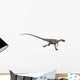 Coelophysis Dinosaur White Wall Decal Design 2