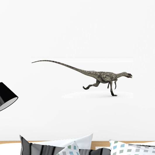 Coelophysis Dinosaur White Wall Decal Design 2