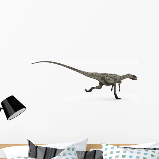 Coelophysis Dinosaur White Wall Decal Design 2