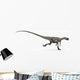 Coelophysis Dinosaur White Wall Decal Design 2