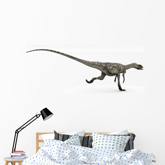 Coelophysis Dinosaur White Wall Decal Design 2