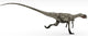Coelophysis Dinosaur White Wall Decal Design 2