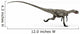 Coelophysis Dinosaur White Wall Decal Design 2
