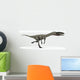 Coelophysis Dinosaur White Wall Decal Design 1