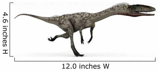 Coelophysis Dinosaur White Wall Decal Design 1