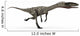 Coelophysis Dinosaur White Wall Decal Design 1