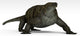 Cotylorhynchus Large Synapsid Early Wall Decal Design 2