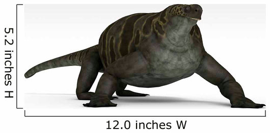 Cotylorhynchus Large Synapsid Early Wall Decal Design 2