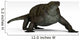 Cotylorhynchus Large Synapsid Early Wall Decal Design 2