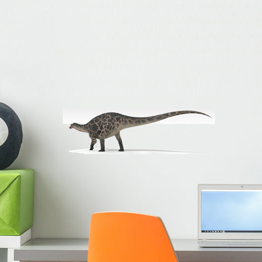 Dicraeosaurus Dinosaur White Wall Decal Design 1
