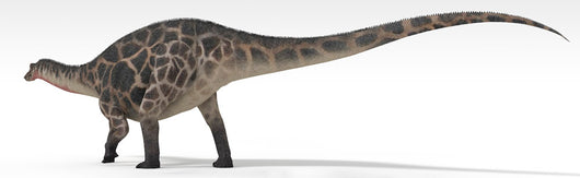Dicraeosaurus Dinosaur White Wall Decal Design 1