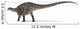 Dicraeosaurus Dinosaur White Wall Decal Design 1