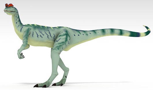 Dilophosaurus Dinosaur White Wall Decal Design 2