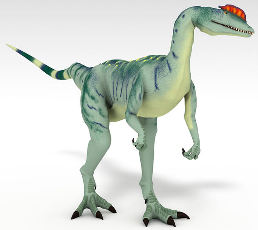Dilophosaurus Dinosaur White Wall Decal Design 1