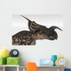 Einiosaurus Dinosaur White Wall Decal Design 5