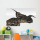 Einiosaurus Dinosaur White Wall Decal Design 5