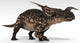 Einiosaurus Dinosaur White Wall Decal Design 3