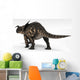 Einiosaurus Dinosaur White Wall Decal Design 2