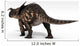 Einiosaurus Dinosaur White Wall Decal Design 2