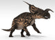 Einiosaurus Dinosaur White Wall Decal Design 1