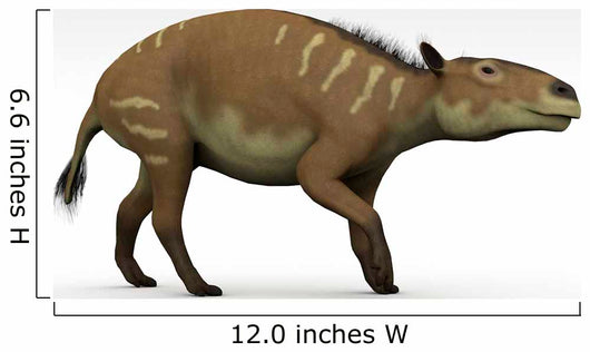 Eurohippus Extinct Genus Equid Wall Decal Design 2