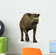 Eurohippus Extinct Genus Equid Wall Decal Design 1