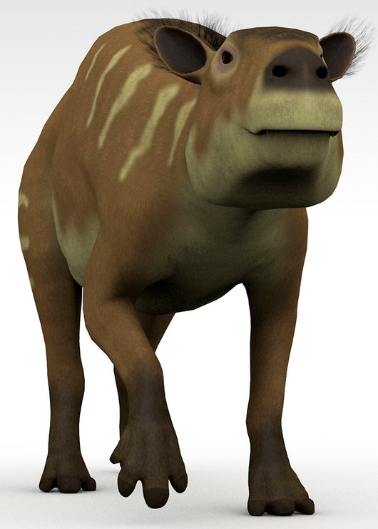 Eurohippus Extinct Genus Equid Wall Decal Design 1